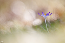 Immer vorne dran ....