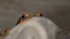 Ach ne schon wieder Monatg