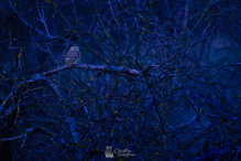 Blicke, die berühren und einen fesseln