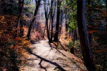 Es war ein wunderschöner Morgen ...