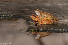 Bei heisser Liebe schmilzt doch jedes Eis.