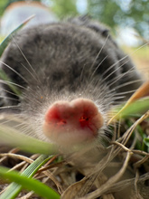 Eine überraschende Begegnung