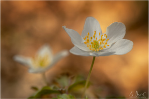 Wir sind wieder zurück!