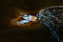 Flieg kleiner Lichtvogel