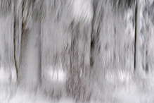 Und gestern war noch Winter....