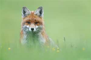 ~ Aus nächster Nähe ~