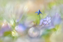 Klein aber fein ...,