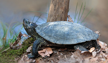 Mal etwas ganz anderes....