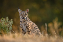 ein letzter Blick....