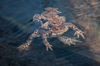 Völlig schwerelos....