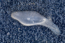 Zurück in den Winter