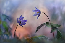 Vor der nahenden Kaltfront ...,