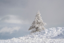 Ein Hauch von Schnee