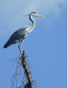 ... was soll das ....???