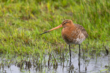 Nass von unten und von oben