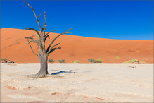 Sossusvlei ...