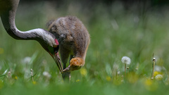 Was darf, was darf nicht