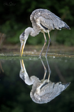 Ui, wer bist denn Du?!