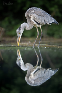 Ui, wer bist denn Du?!