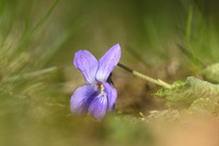 Bin so schwer, mag nicht mehr