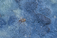 ...du wolltest ein paar Kinder?