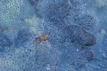 ...du wolltest ein paar Kinder?