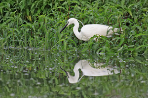 Das Gewässer bestens im Blick...