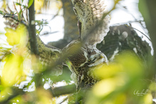 Wenn das nicht Liebe ist