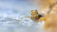 Der Strömung trotzend