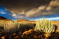 Malpais im Abendlicht