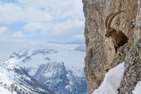 "Wohnzimmer" mit Panoramablick