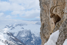 "Wohnzimmer" mit Panoramablick