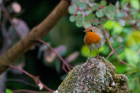 Überblick ist alles !