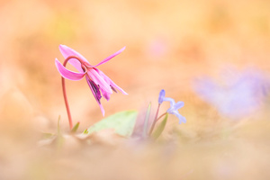 Schrei mich nicht so an!