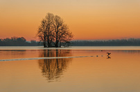 Lieblingsort mit doppelter Spiegelung