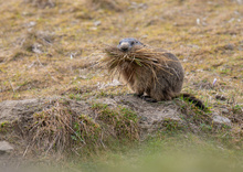 Wie man sich bettet, so liegt man