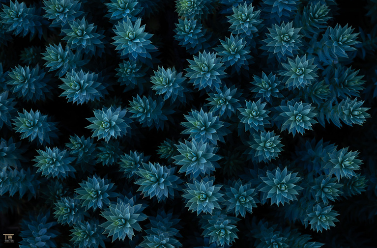 Blau grün...