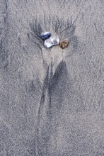 Einstein, oder Loriot ohne Nase.....