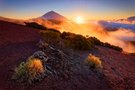 Schnee-Teide im Sonnenuntergang