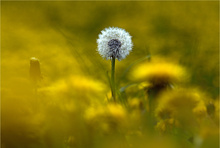 "Ich hab´s geschafft"