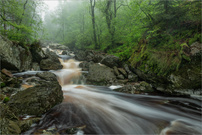 wo das Wasser leise spricht