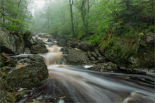 wo das Wasser leise spricht