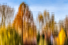 Sonnensee im Herbst
