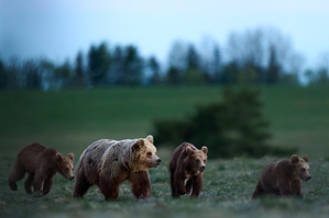 Familie
