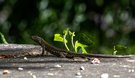 Licht und Schatten….