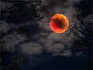 Der Blutmond von 2014 ...