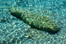 Unterwasserlinien...