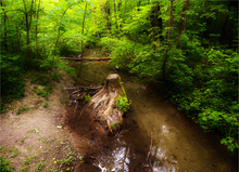 Waldbach