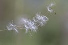 Abgebremst