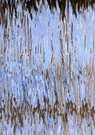 Wasserfarben